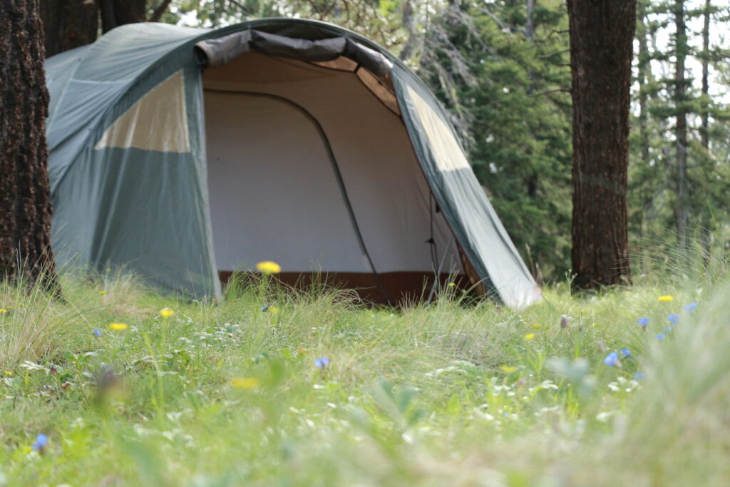 10 Best Arizona Camping Resources - BlissFit & Friends