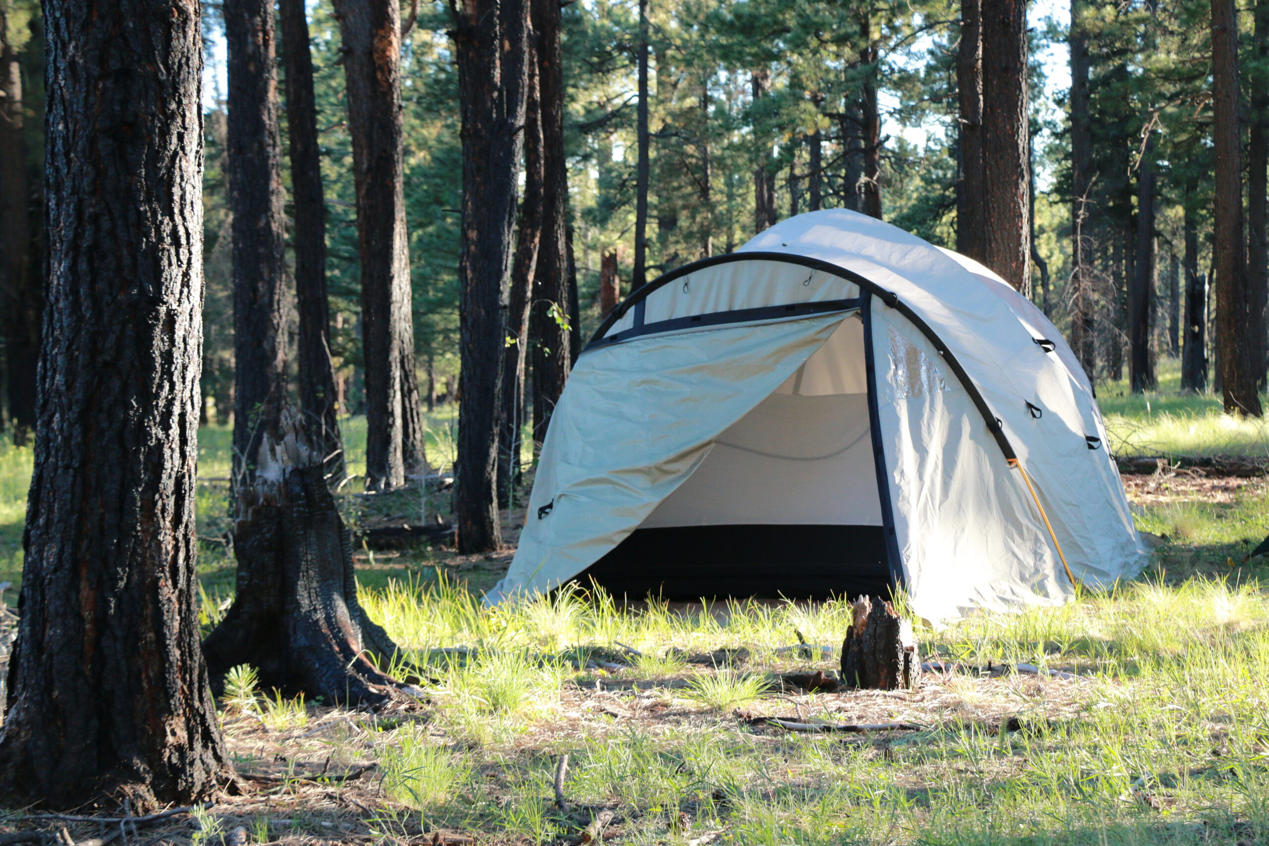 10 Best Free Campgrounds in AZ